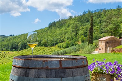 Wine Tours & Vineyard Holidays: Alternative Winery Destinations Around the World