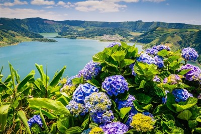 Terceira vs São Miguel: Which Azores Island Should You Visit?
